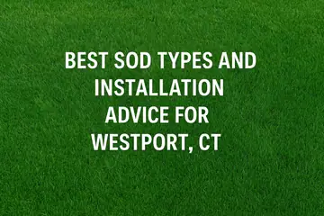Best Sod Types and Installation Advice for Westport, CT