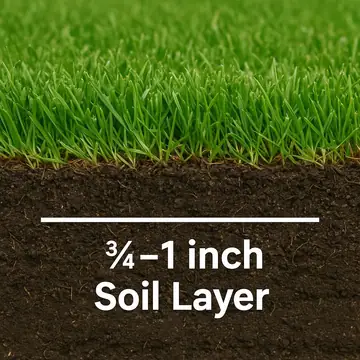 How Thick Is Sod? Preparing Your Yard the Right Way