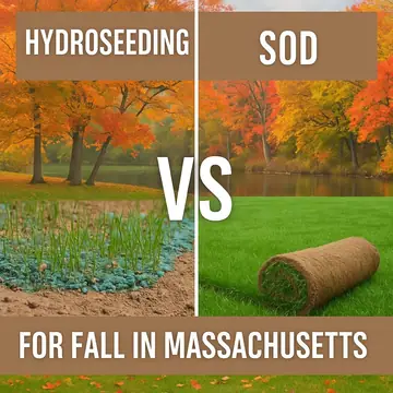 Hydroseeding vs. Sod for Fall in Massachusetts: Which Wins?