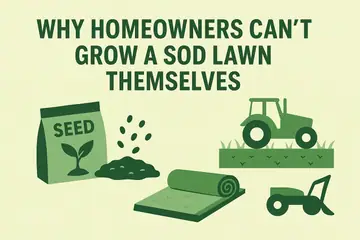 How Sod Farms Grow Premium Turf: The Real Process