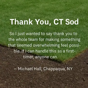 Thank You, CT Sod