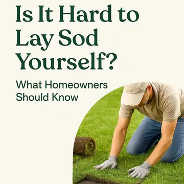 Is It Hard to Lay Sod Yourself? What Homeowners Should Know