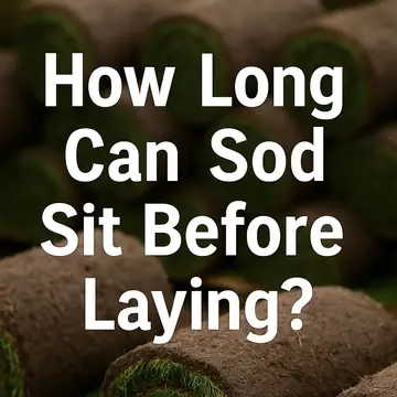 How Long Can Sod Sit Before Laying?