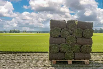 How Much Sod Comes On A Pallet?