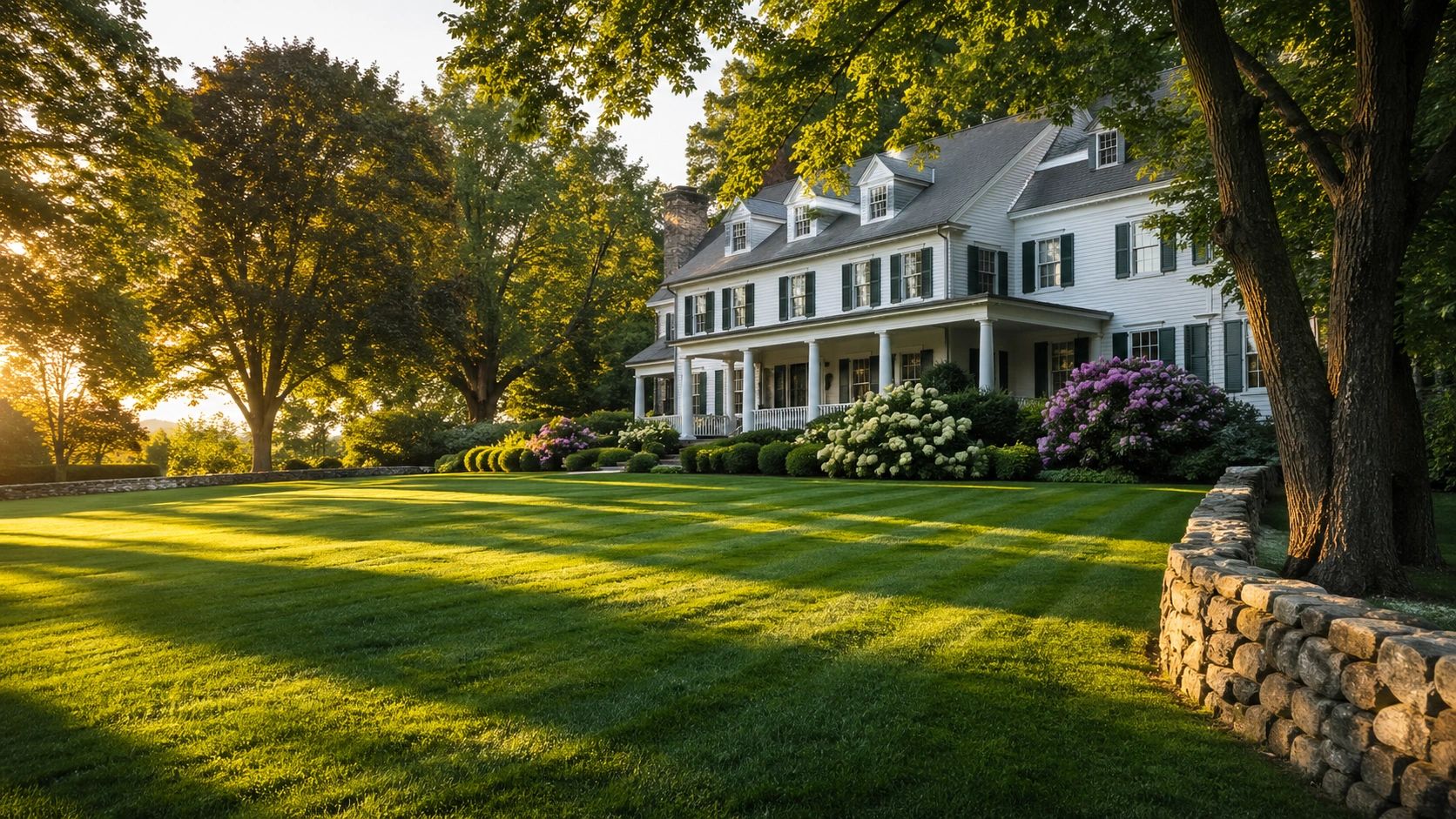 Bluegrass Fescue Sod Mix