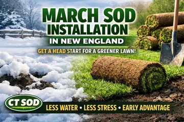 MARCH SOD INSTALLATION IN NEW ENGLAND: BENEFITS OF AN EARLY START