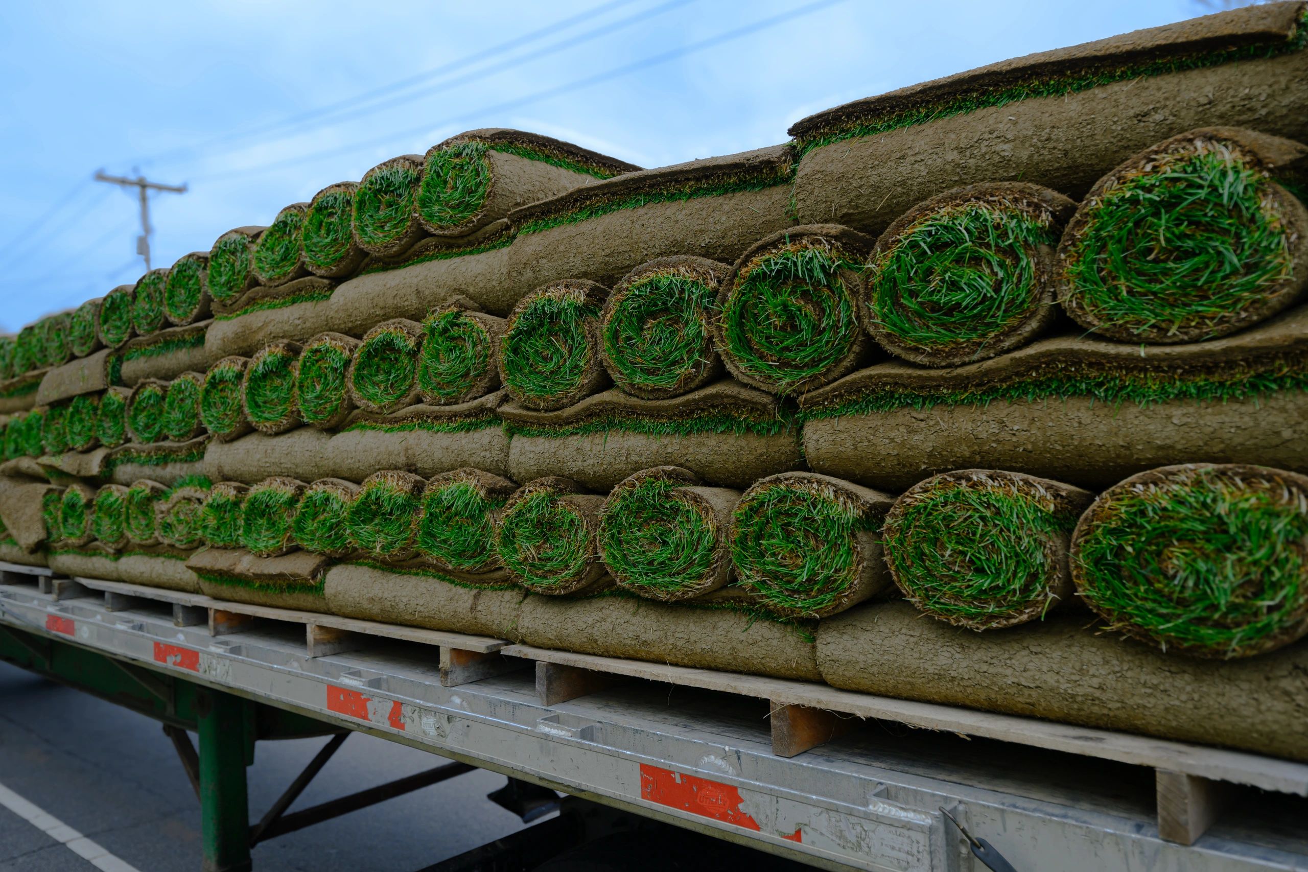 sod pallets loaded on delivery truck