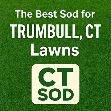The Best Sod for Trumbull, CT Lawns