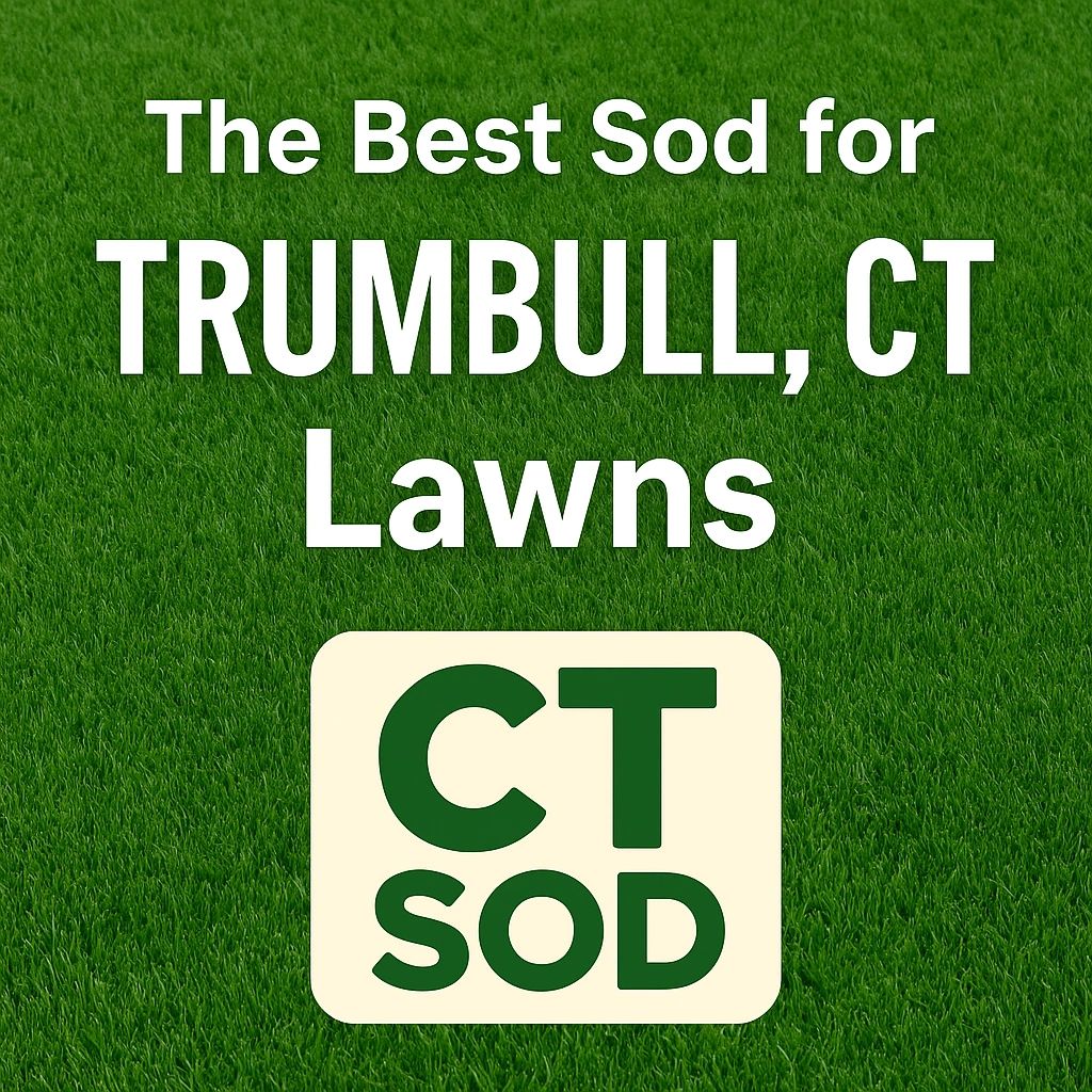 The Best Sod for Trumbull, CT Lawns