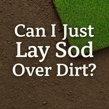 Can I Just Lay Sod Over Dirt? The Honest Answer, and What Works