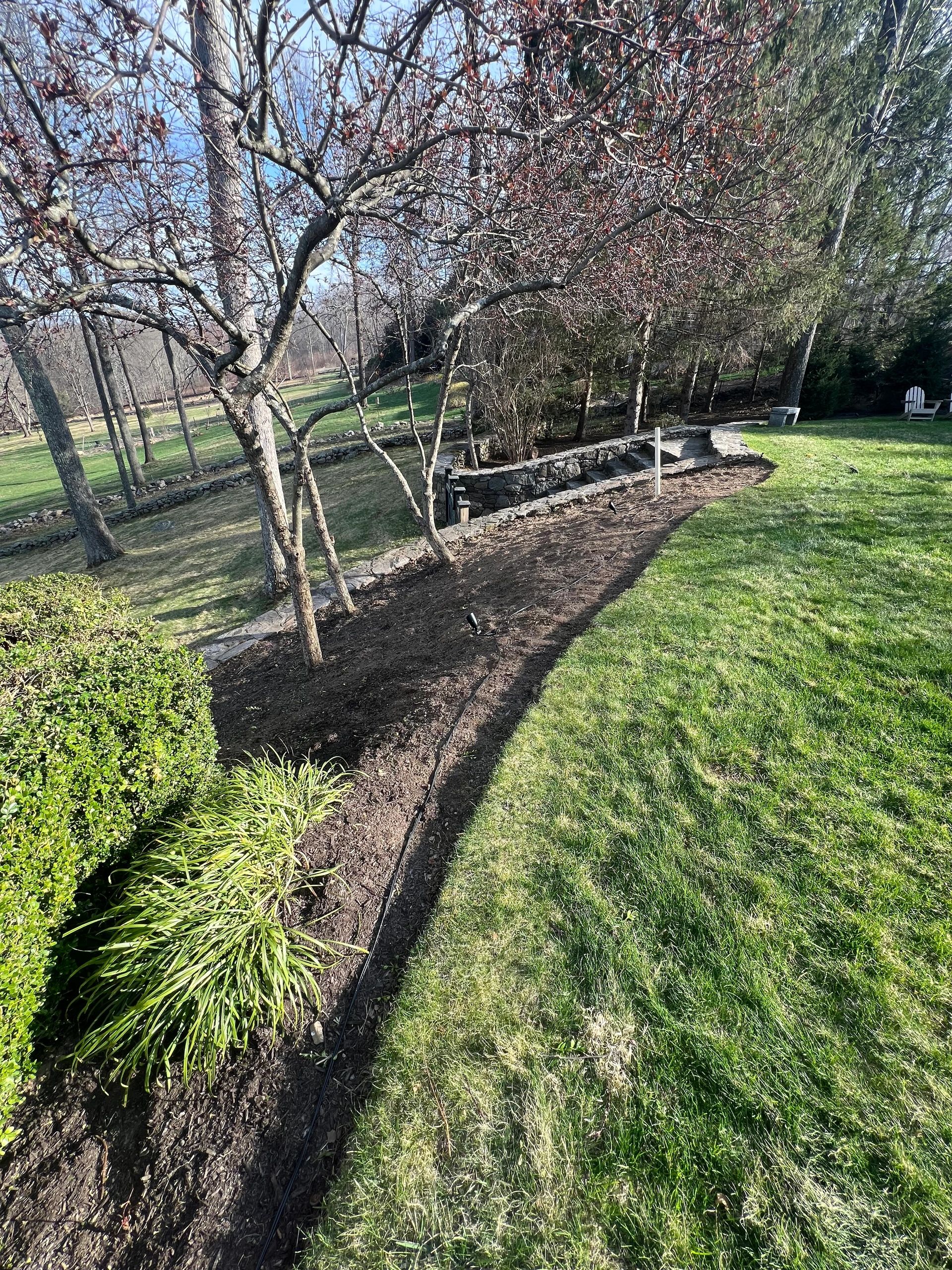 Before photo of sod prep area in Woodbury, CT showing bare soil beside a curved lawn edge, stone walls, mature trees, and surrounding landscape beds