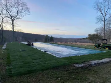 Fresh Kentucky Bluegrass Installed Around a Pool in CT