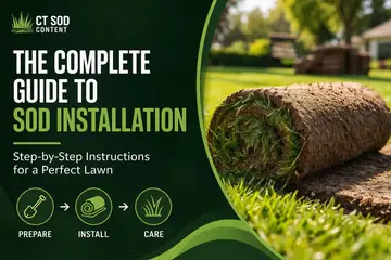 How to Prep Your Yard for Sod This Spring