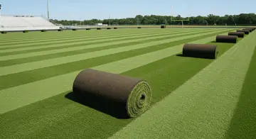 Athletic Field Sod: The Complete Guide for Schools, Towns & Sports Complexes