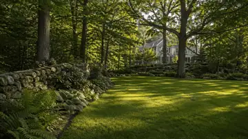Best Sod Varieties for Shaded Lawns: Complete Guide 