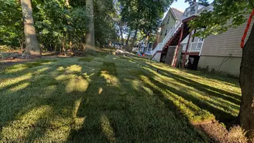 Half the Sod Didn't Take on a Boston Job. Here's What We Did.