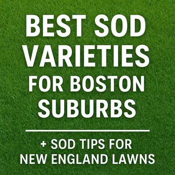 Sod Delivery & Installation in Greater Boston | CT Sod