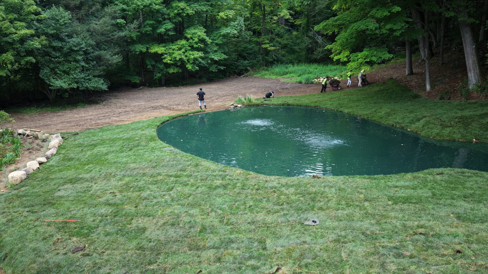 Fresh tall fescue sod surrounding a newly built pond at a private Bridgewater, Connecticut estate