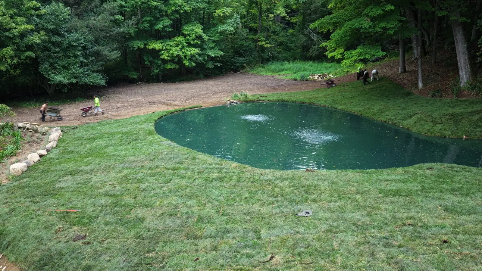 Tall fescue sod installed along the curved edge of a new pond in Bridgewater, Connecticut