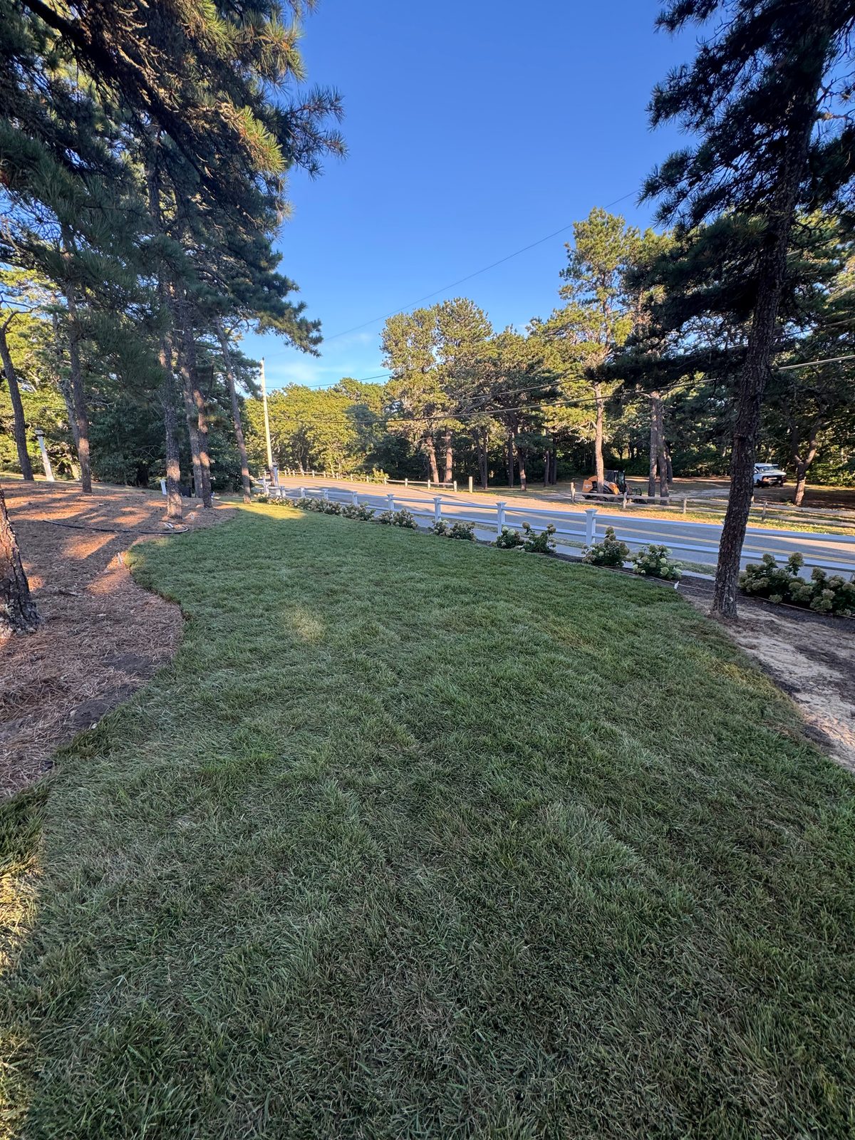 Fresh sod along the road frontage behind the white rail fence and hydrangea hedge at a Chatham, MA estate