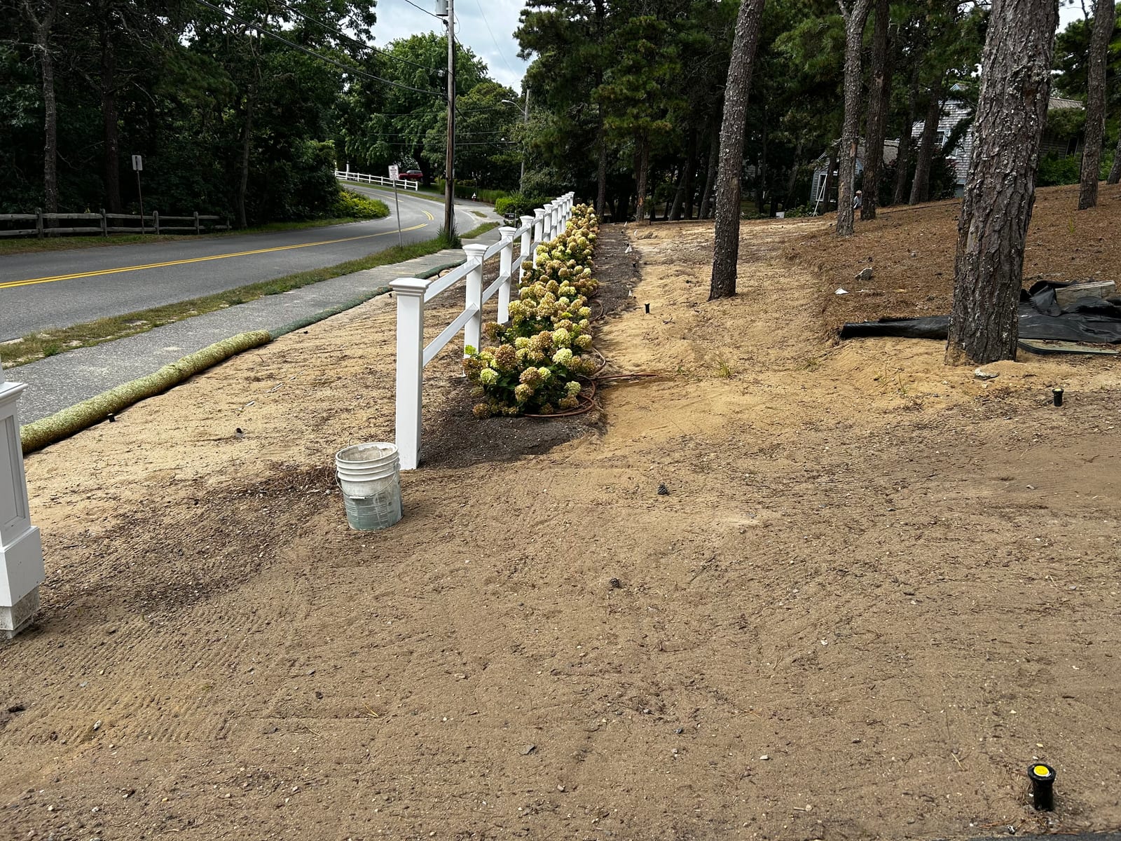 Graded road frontage behind a white rail fence and hydrangea hedge at a Chatham, MA estate, prepped for new sod
