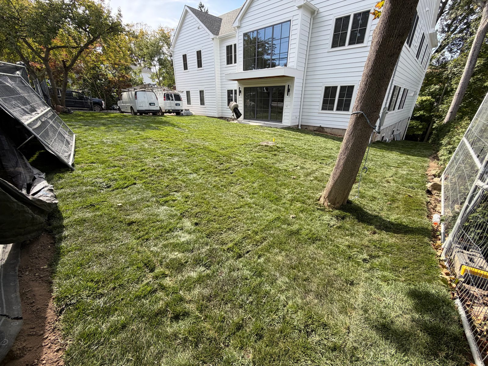 Completed tall fescue sod installation beside a white home in Darien, Connecticut