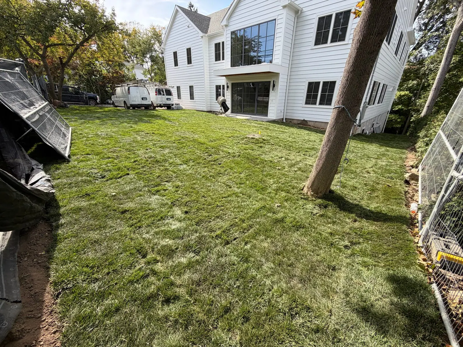Finished tall fescue sod beside a white home in Darien, CT