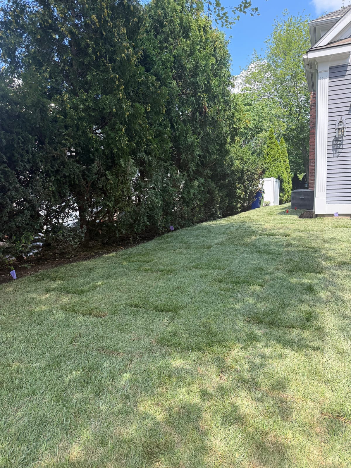 Sod Installation in Fairfield, CT After a Pool Build
