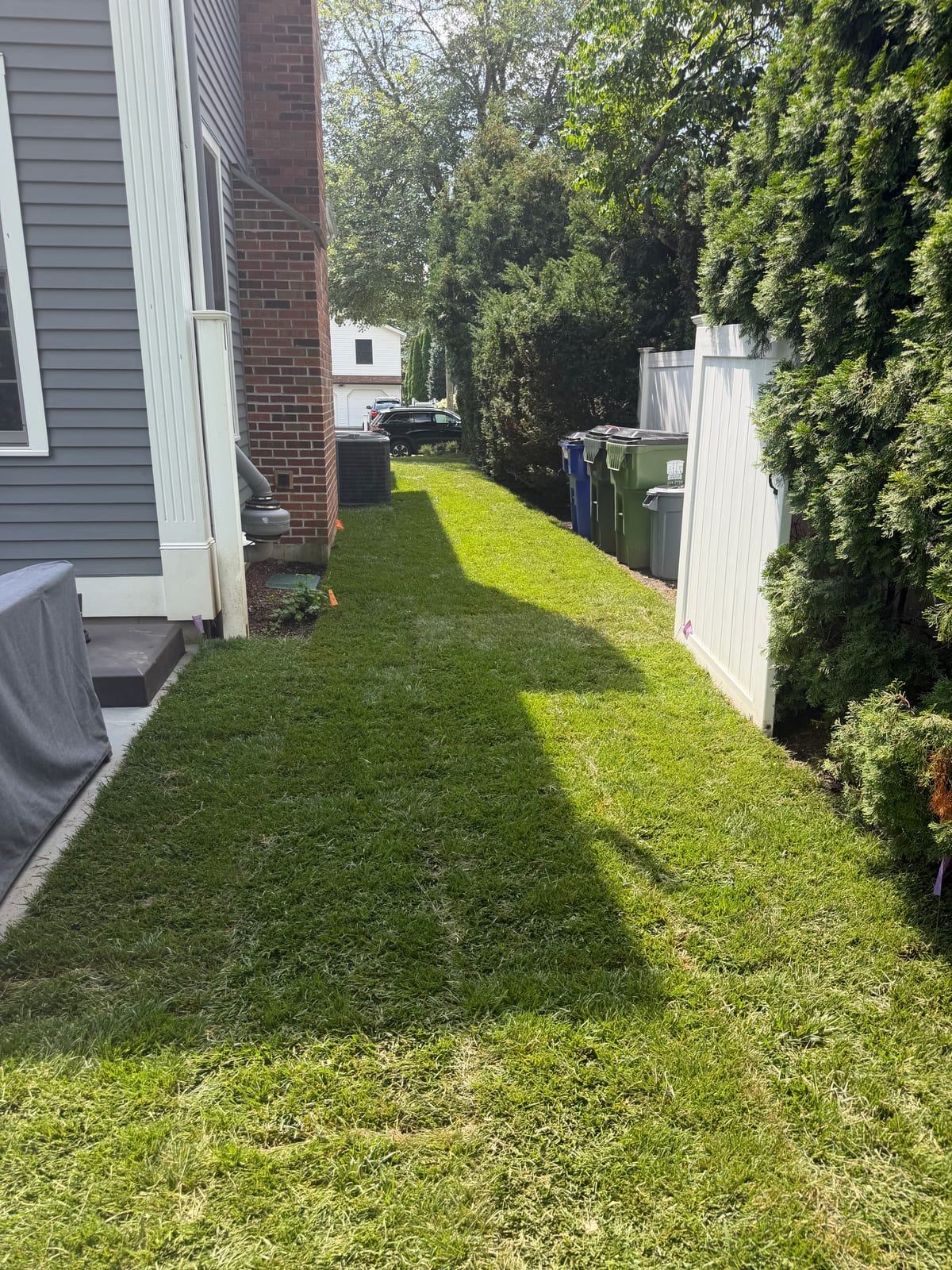 Side yard in Fairfield, CT — new Kentucky bluegrass sod filling the strip between the house and the fence line