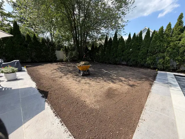 Sod vs. Seed: Fixing Your Connecticut Lawn This Fall