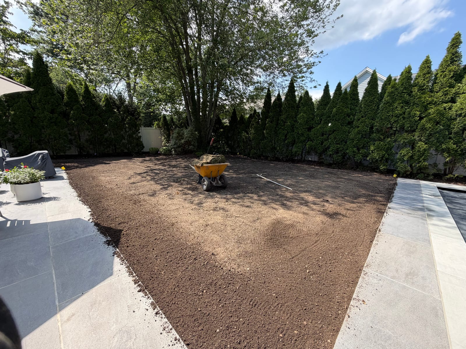 Sod vs. Seed: Fixing Your Connecticut Lawn This Fall