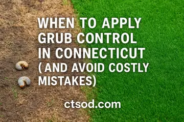When to Apply Grub Control in Connecticut (and Avoid Mistakes)