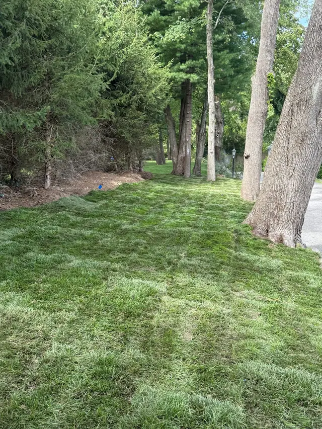 6,000 Sq Ft Harrison NY Sod Installation — DIY to Pro