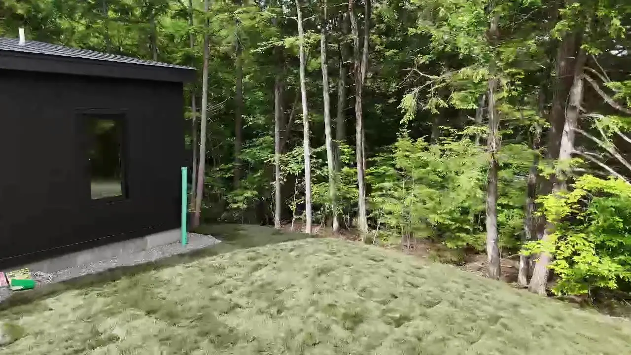 Through the backyard to the Vermont woods.
