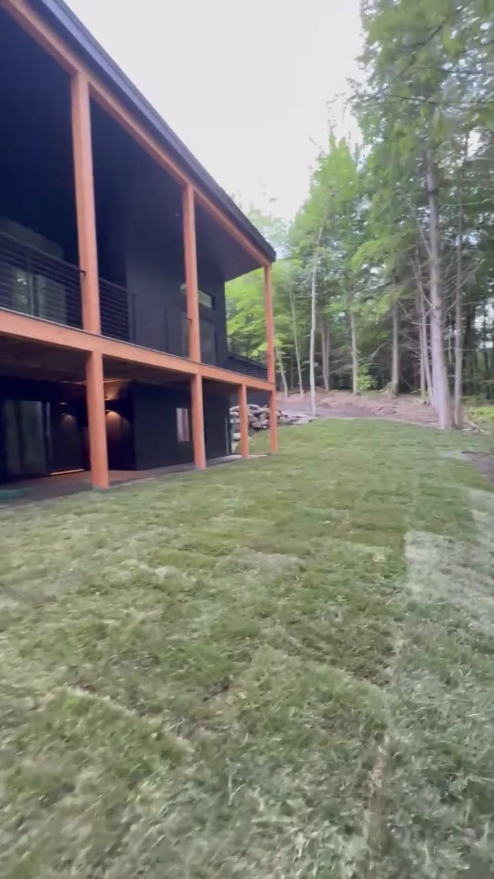 A close walk along the finished sod where it meets the bluestone path — tight seams and clean edges on the new tall fescue