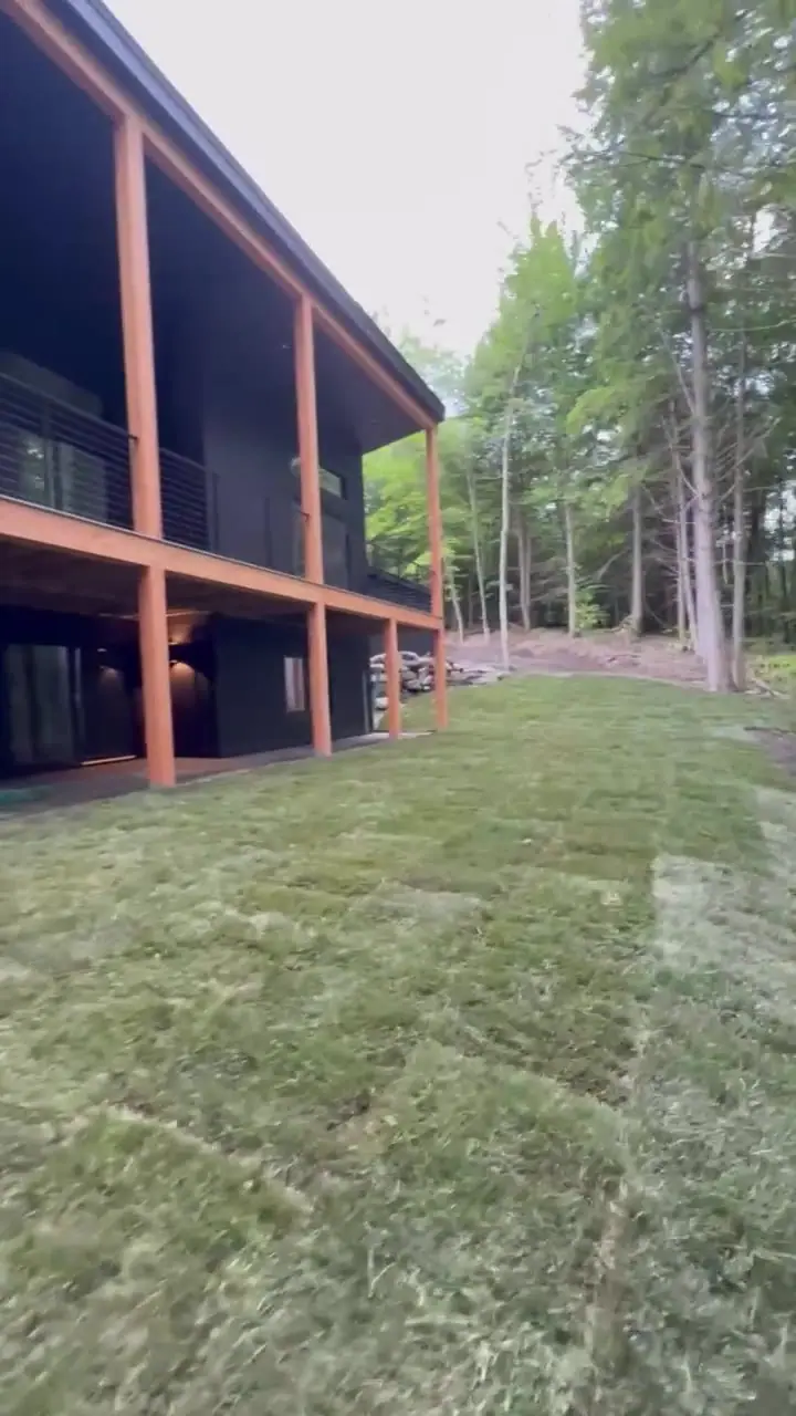 Where the new sod meets the stone path.