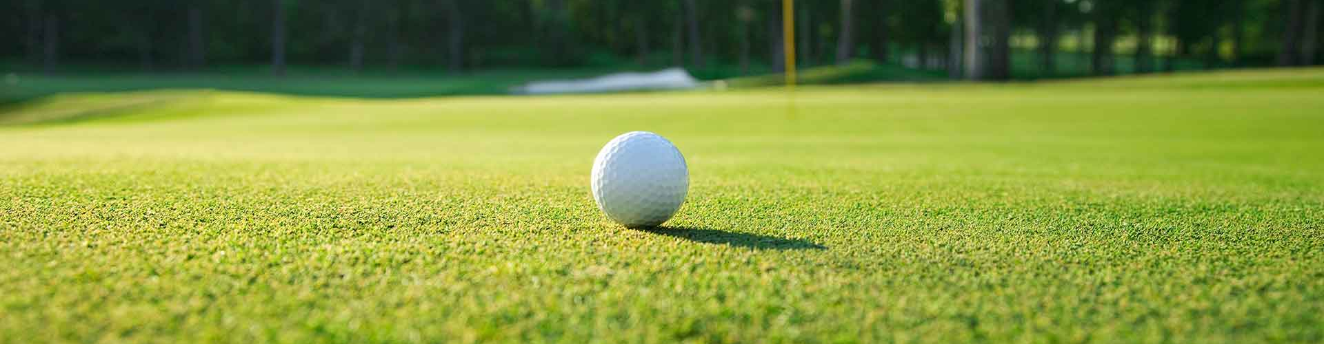 Creeping Bentgrass Sod