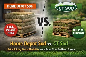 Home Depot Sod vs. CT Sod: Why More Homeowners Choose CT Sod