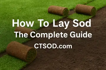 How to Lay Sod: The Ultimate Guide for Northeast U.S. Lawns