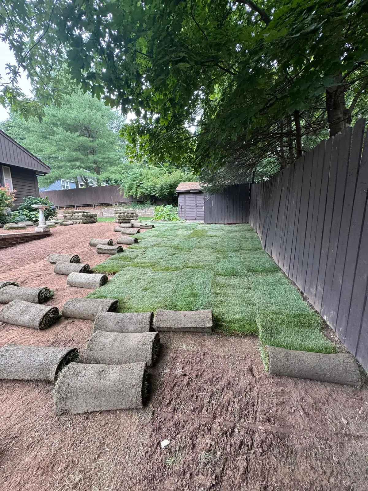 New sod laid along the back fence line in Meriden, Connecticut