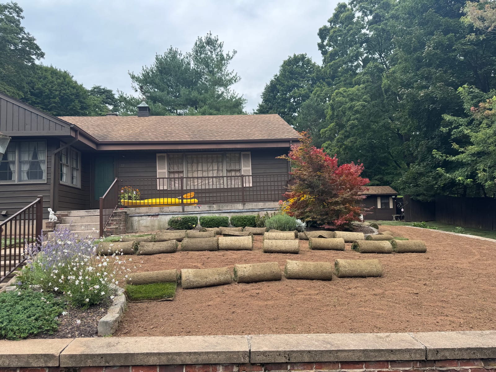 Fresh farm-cut sod rolls staged in the front yard while rows go down at the 3,600 sq ft Meriden, CT lawn reset