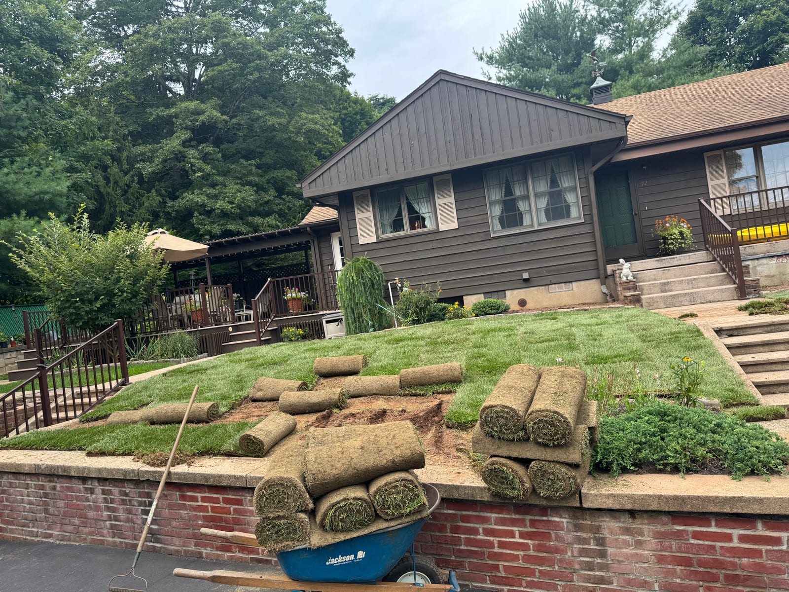 3,600 Sq Ft Meriden, CT Sod Installation After Cicada Damage