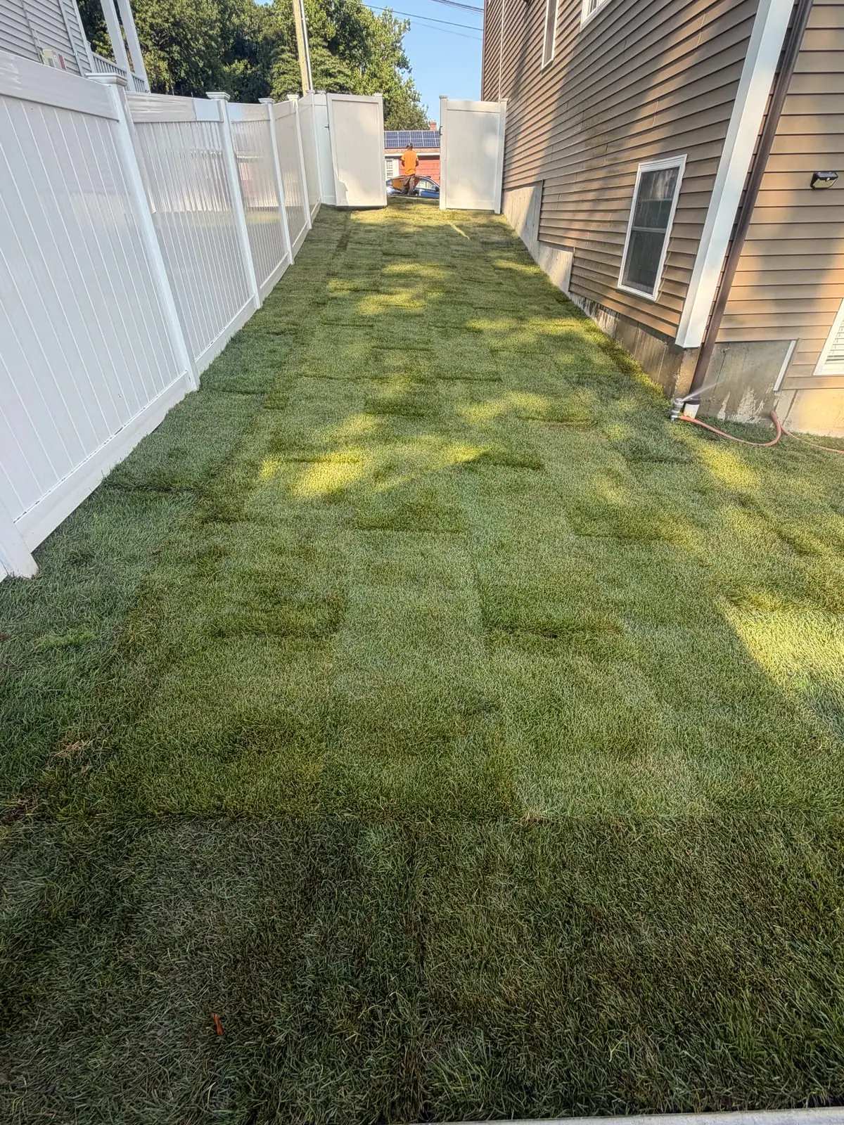 Finished side yard in Milford, CT with fresh Kentucky bluegrass sod running between the house and the fence where dead machine routes used to be