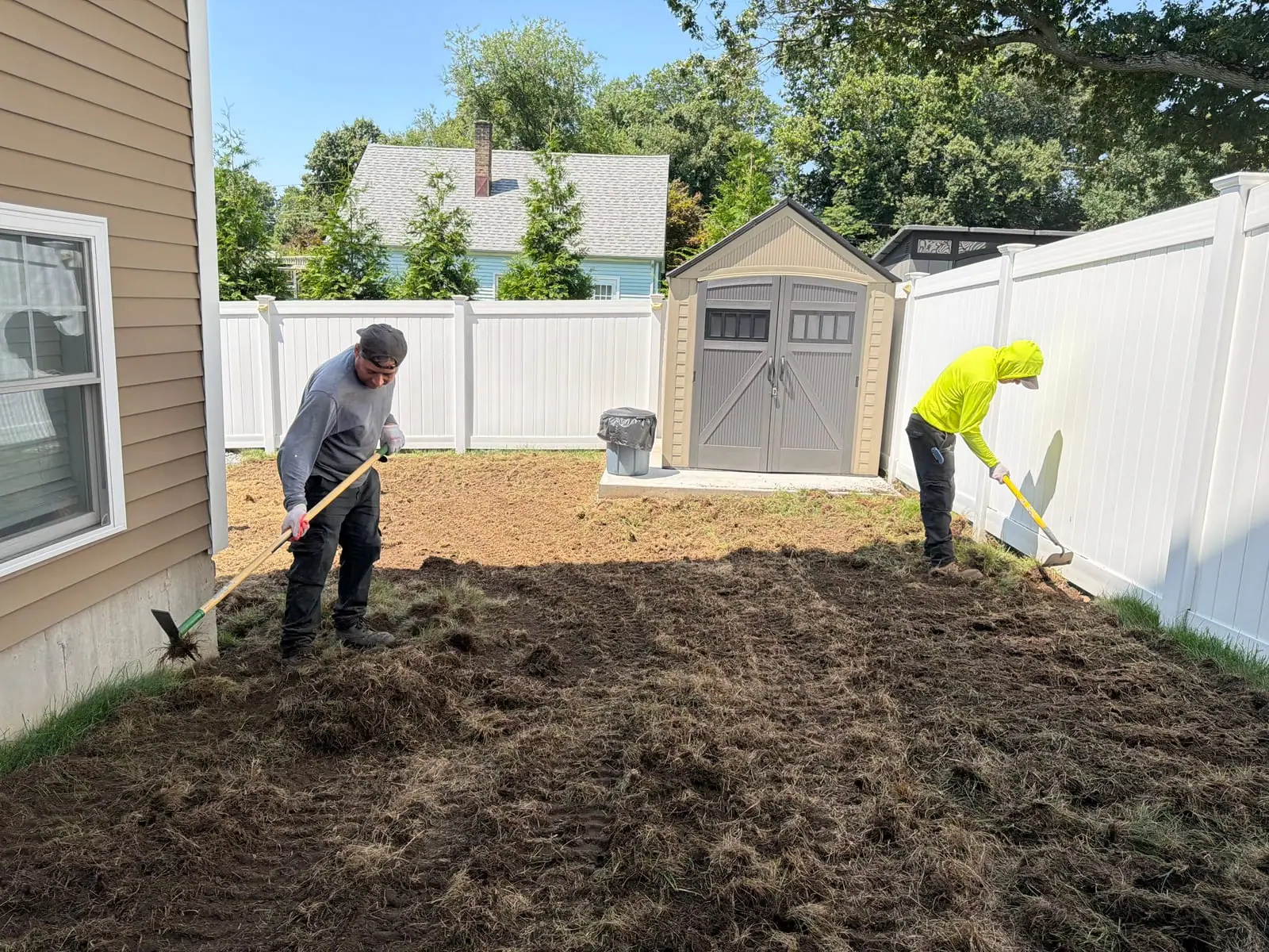 CT Sod crew stripping dead turf and raking the back lawn smooth beside the shed in Milford, CT