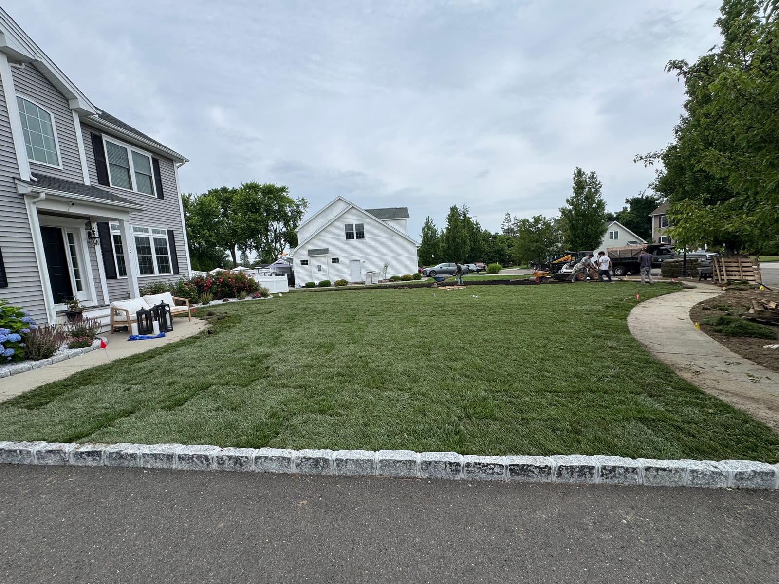 The finished front lawn in Milford, CT — fresh tall fescue sod laid wall-to-wall from the granite Belgian-block curb up to the gray colonial, the crew finishing the edges by the curved sidewalk