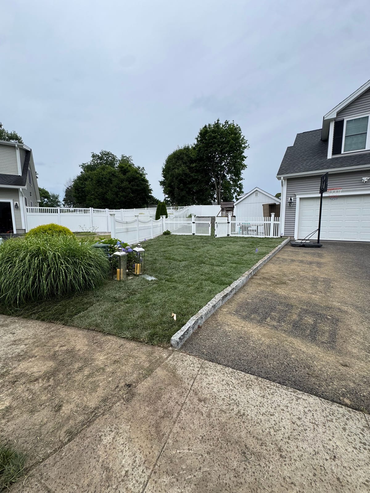 The finished tall fescue side lawn in Milford, CT running up to the granite-edged driveway and a white picket gate into the backyard, the gray colonial with its garage and basketball hoop on the right