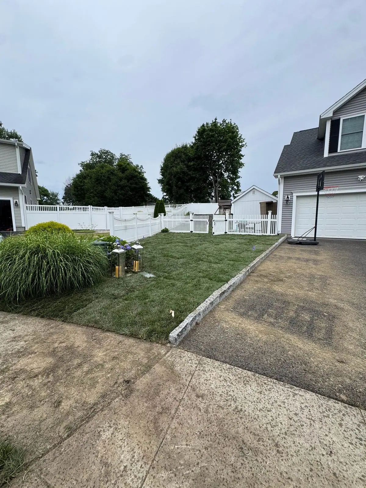 Finished tall fescue side lawn running up to a granite-edged driveway and a white picket gate into the backyard in Milford, CT, the gray colonial with its garage and basketball hoop on the right