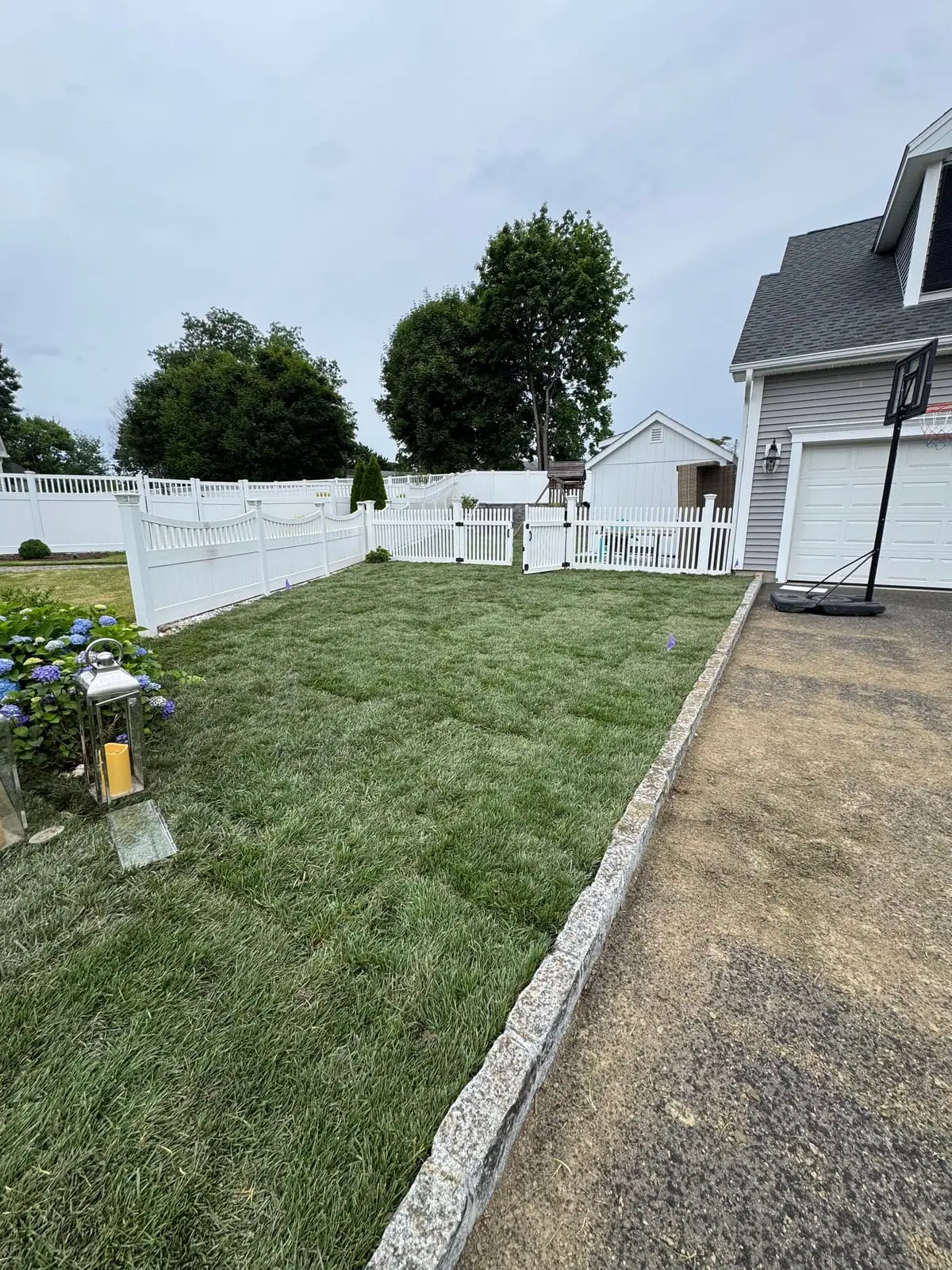 A closer look at the finished side lawn in Milford, CT — fresh tall fescue with tight seams between the driveway and the white vinyl fence, hydrangeas and lanterns along the edge and the playset visible through the gate