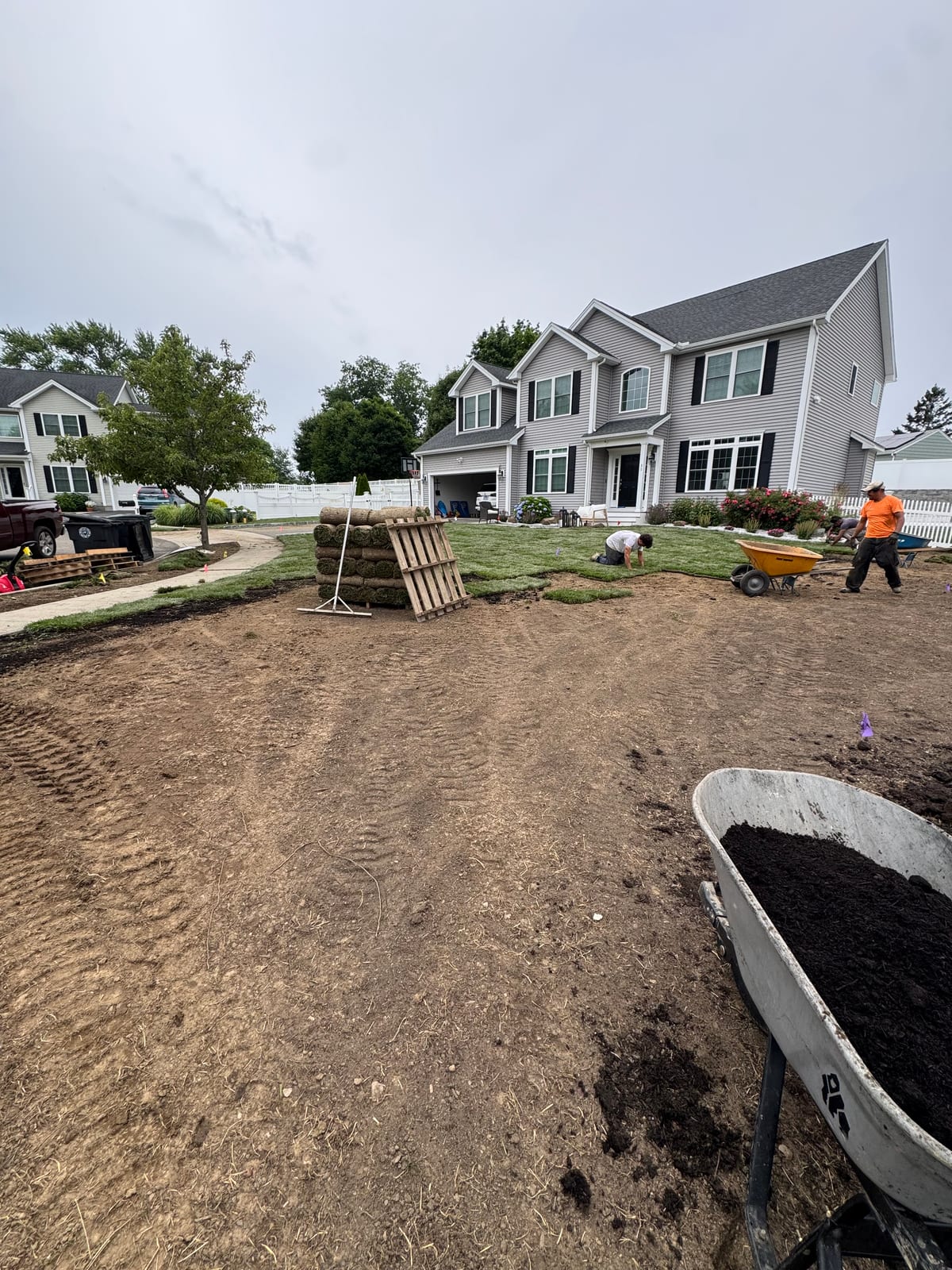 Tall fescue sod going down in Milford, CT — a stacked pallet of fresh sod rolls and a wheelbarrow of dark topsoil on the bare, graded front yard, the crew laying the first green strips up by the gray colonial