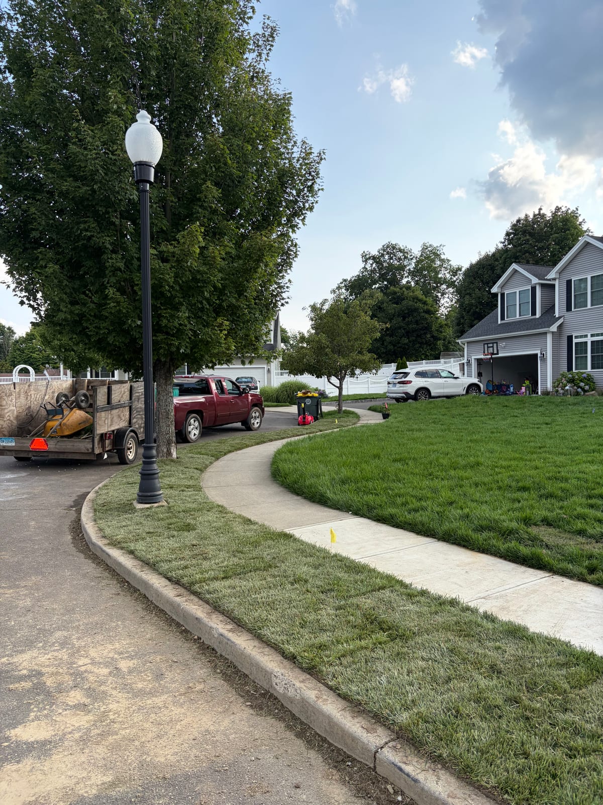 The finished curb strip in Milford, CT after the second install — fresh tall fescue running clean between the granite curb and the sidewalk, the established lawn deep green up the yard